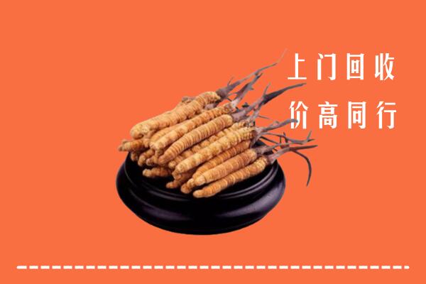 高价求购：许昌市回收散虫草