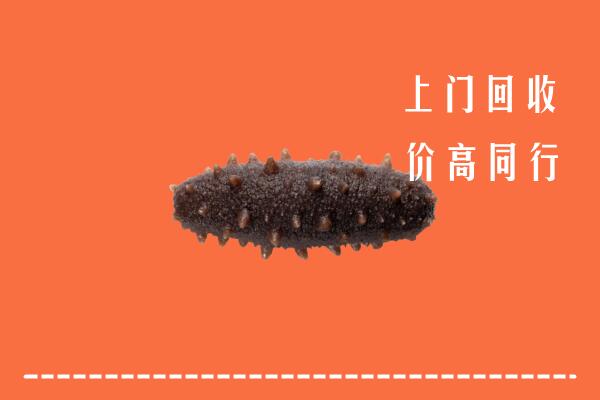 高价求购：许昌市回收海参