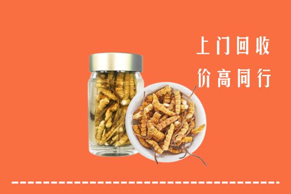 许昌市回收冬虫夏草